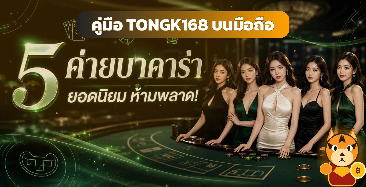 TONGK168 บนมือถือ | คู่มือเข้าเว็บและดูแลบัญชี